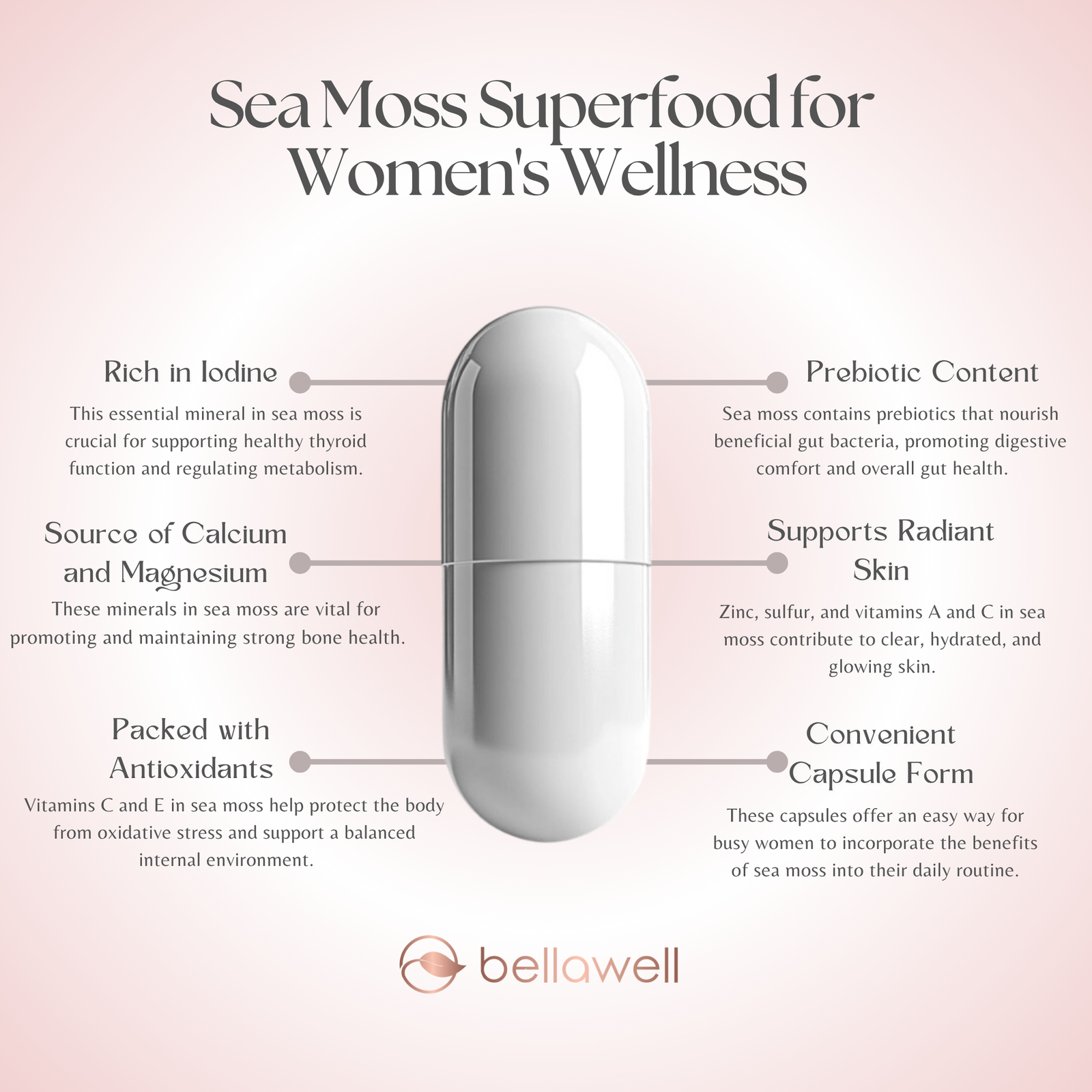 Discover the Power of Sea Moss Superfood
