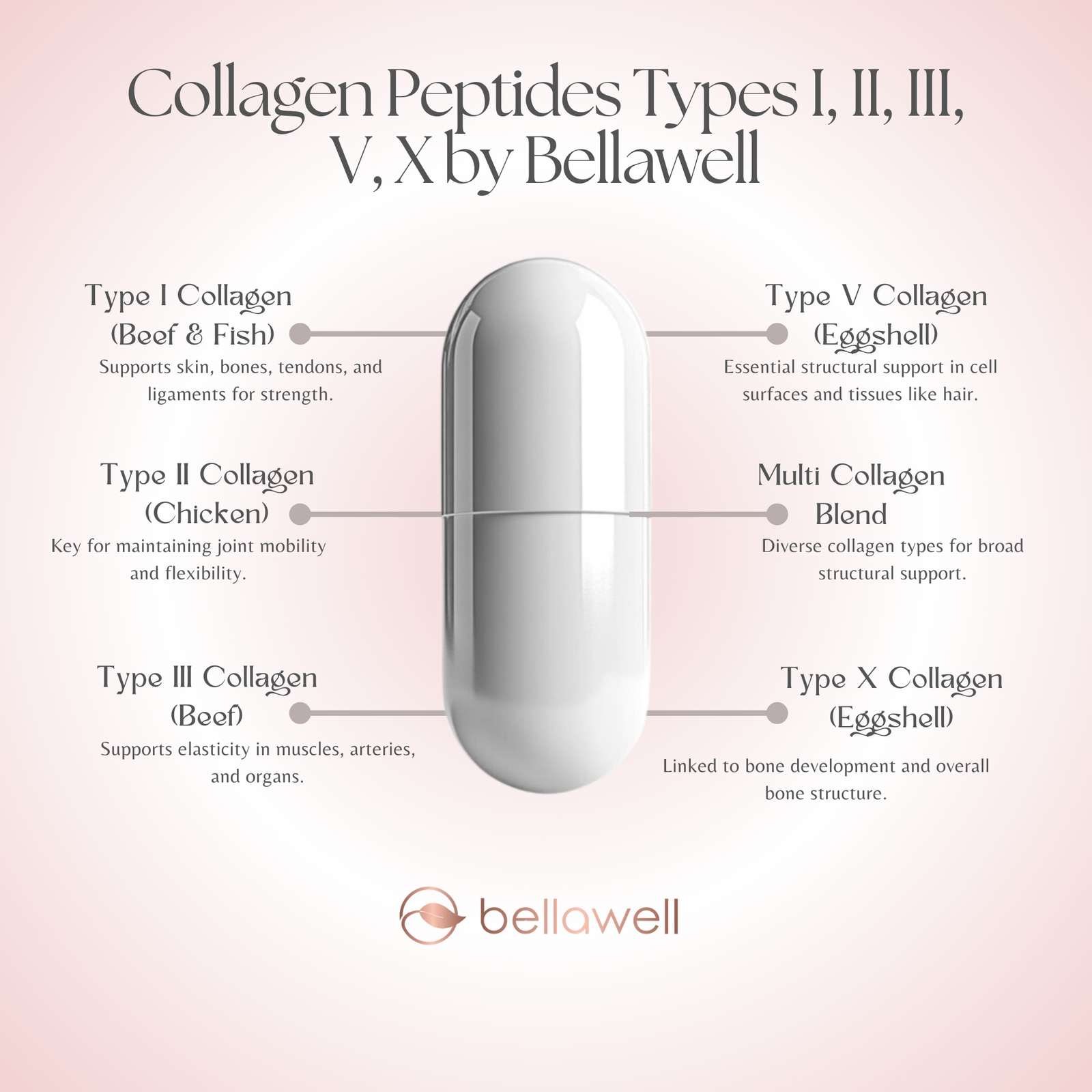 Discover the Power of Bellawell Collagen Peptides
