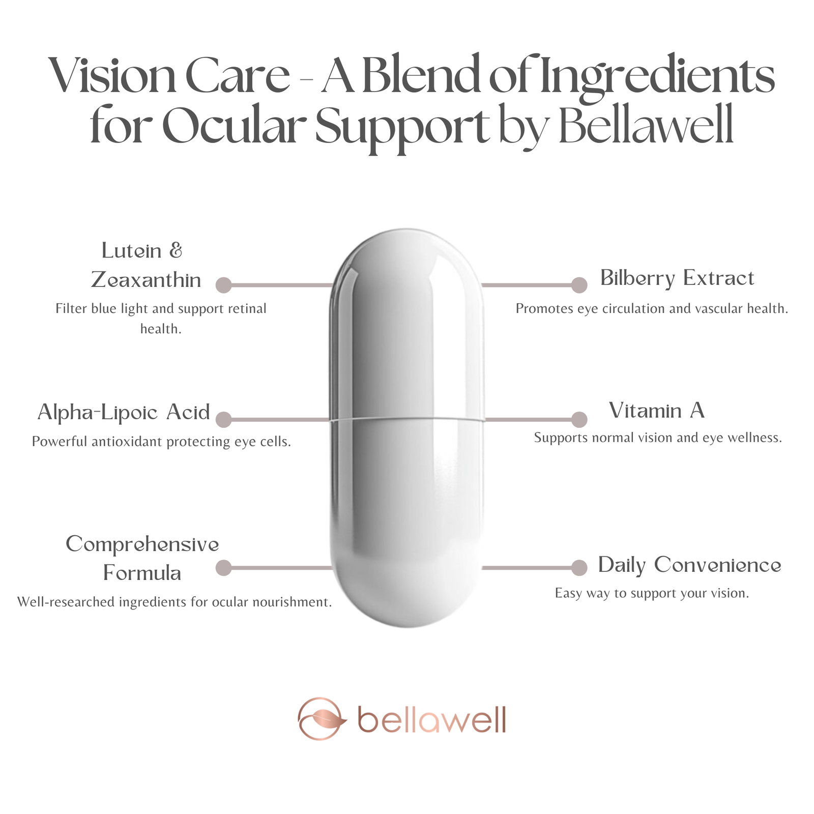 Discover the Power of Vision Care - A Blend of Ingredients for Ocular Support