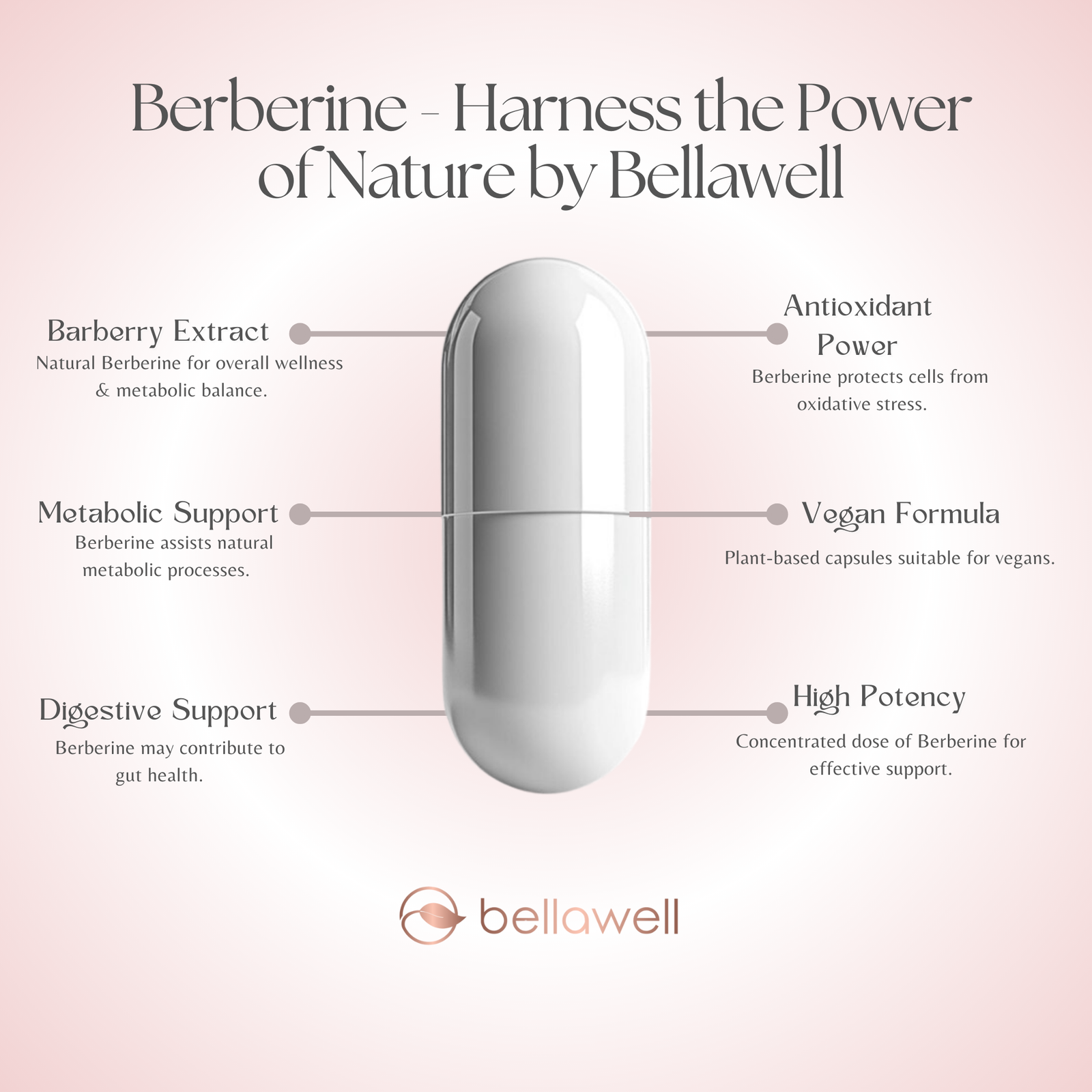 Discover the Power of Berberine