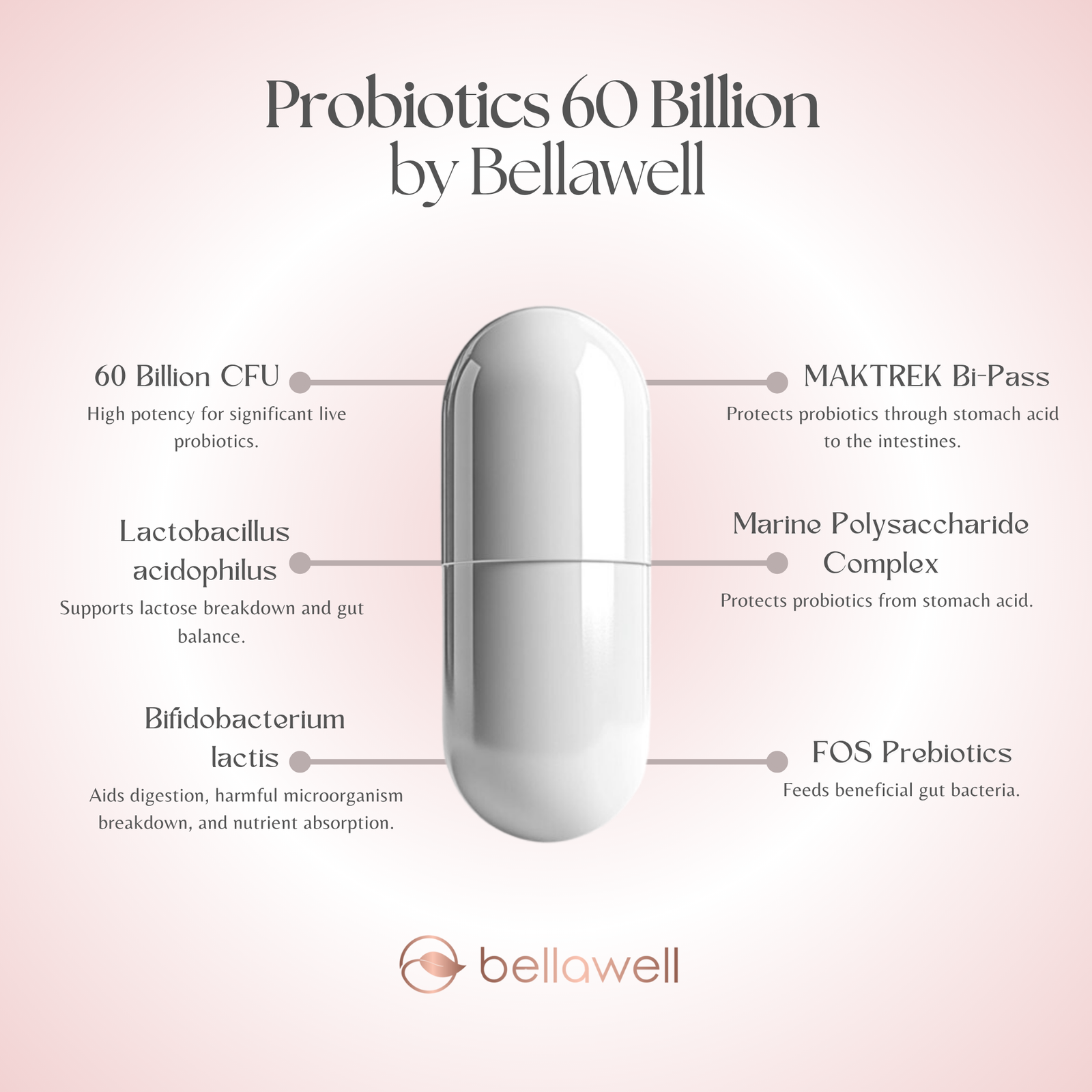 Discover the Power of Probiotics 60 Billion