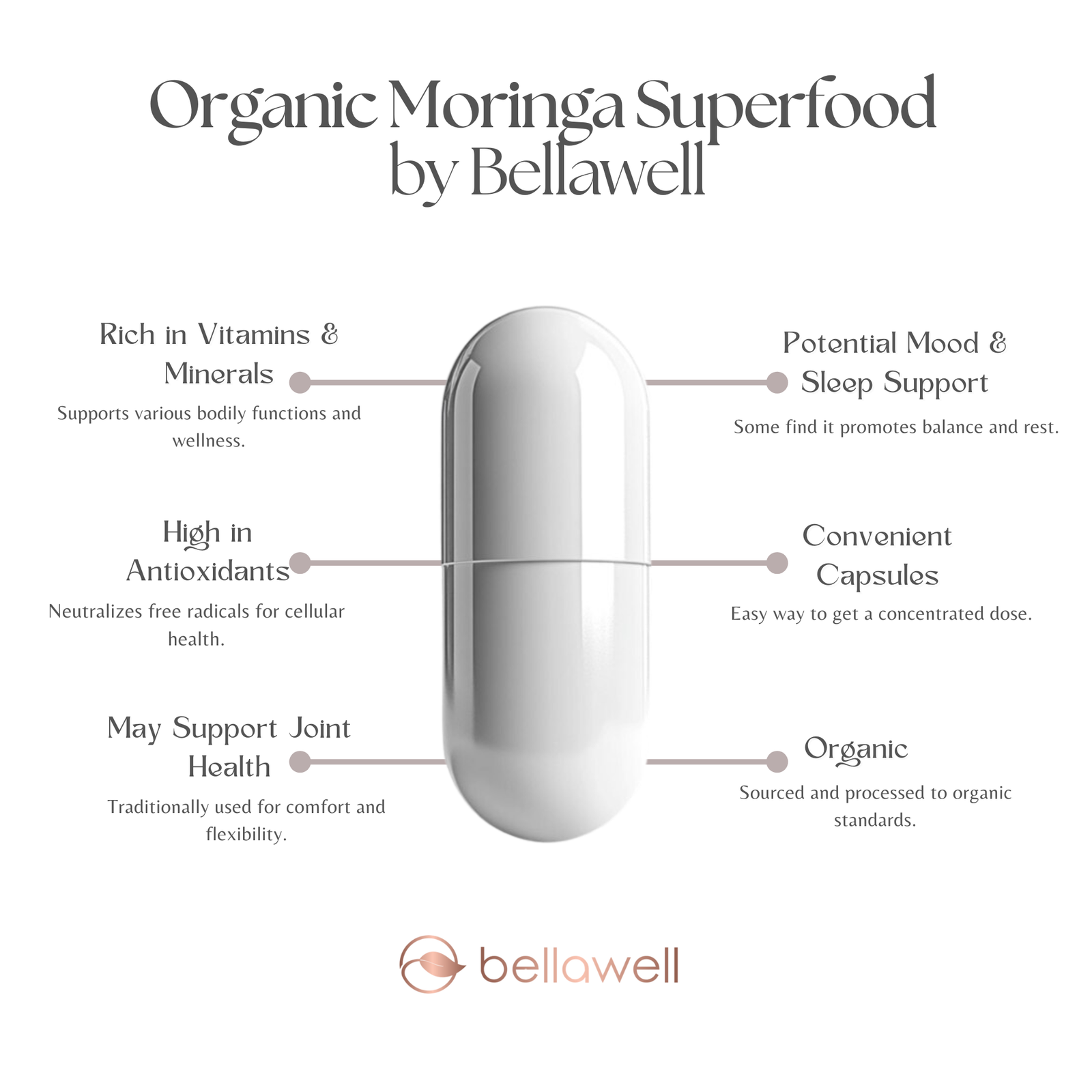 Discover the Power of Organic Moringa Superfood