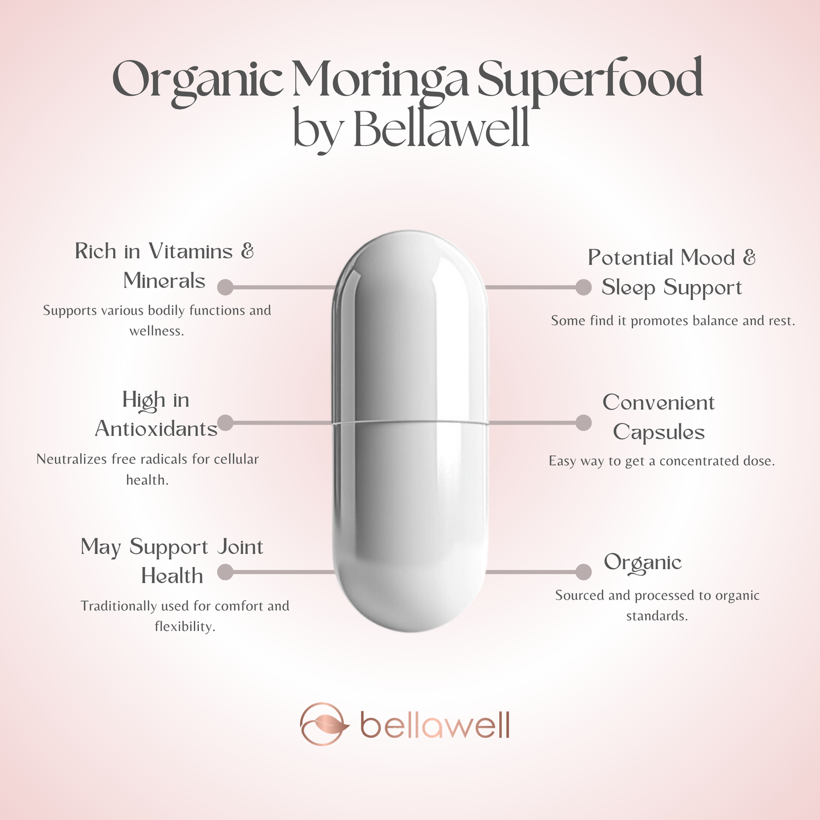 Discover the Power of Organic Moringa Superfood