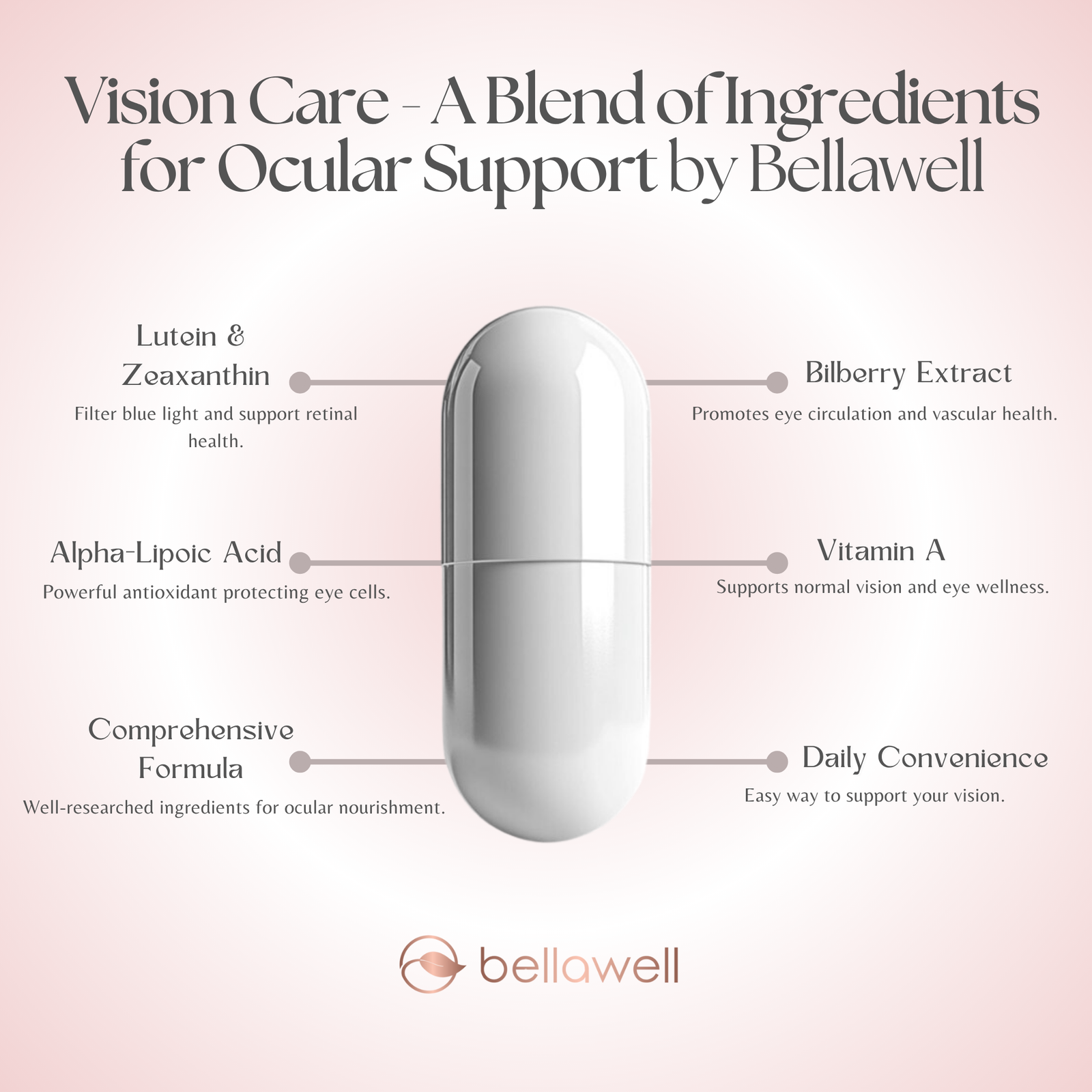 Discover the Power of Vision Care - A Blend of Ingredients for Ocular Support