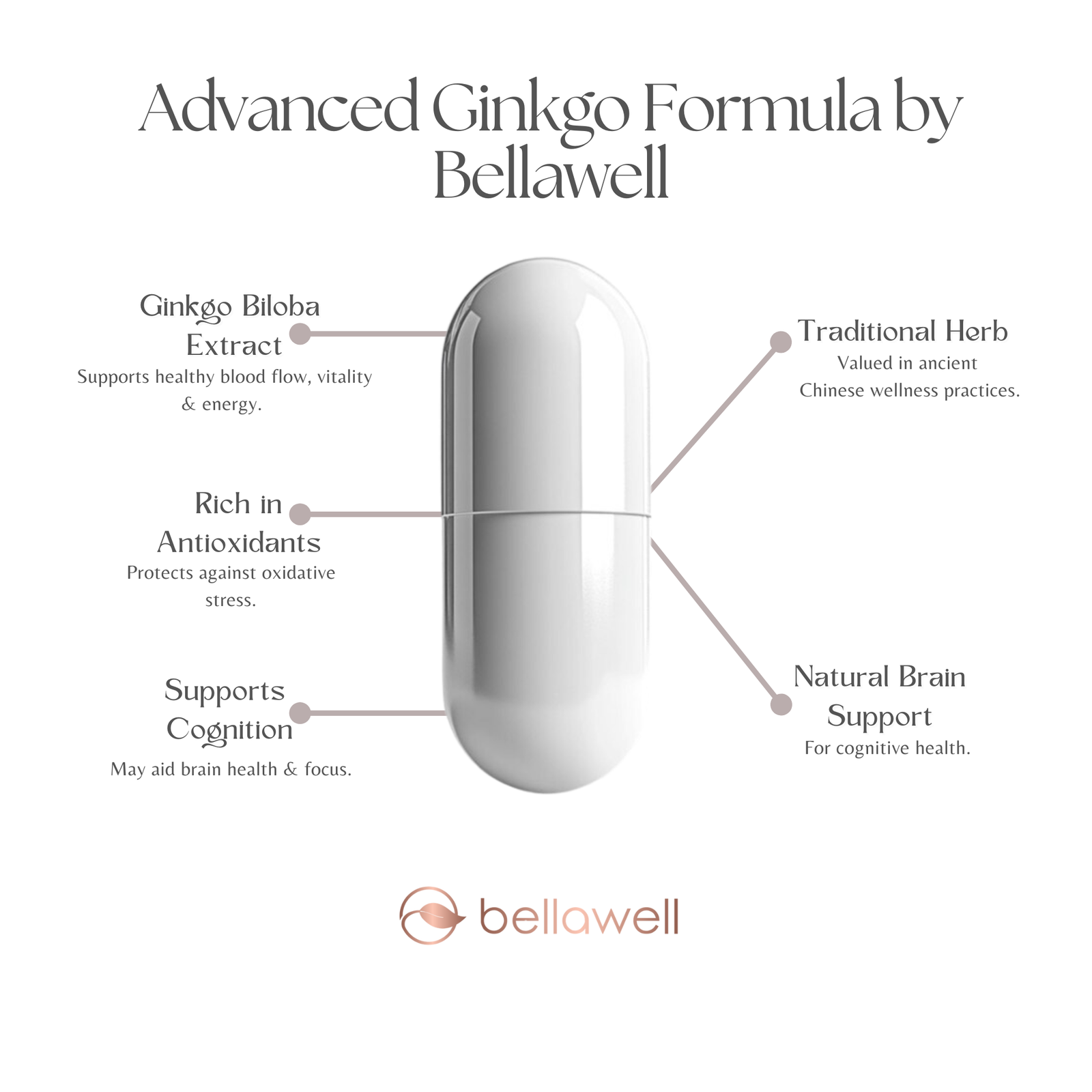 Discover the Power of Ginkgo Biloba Formula