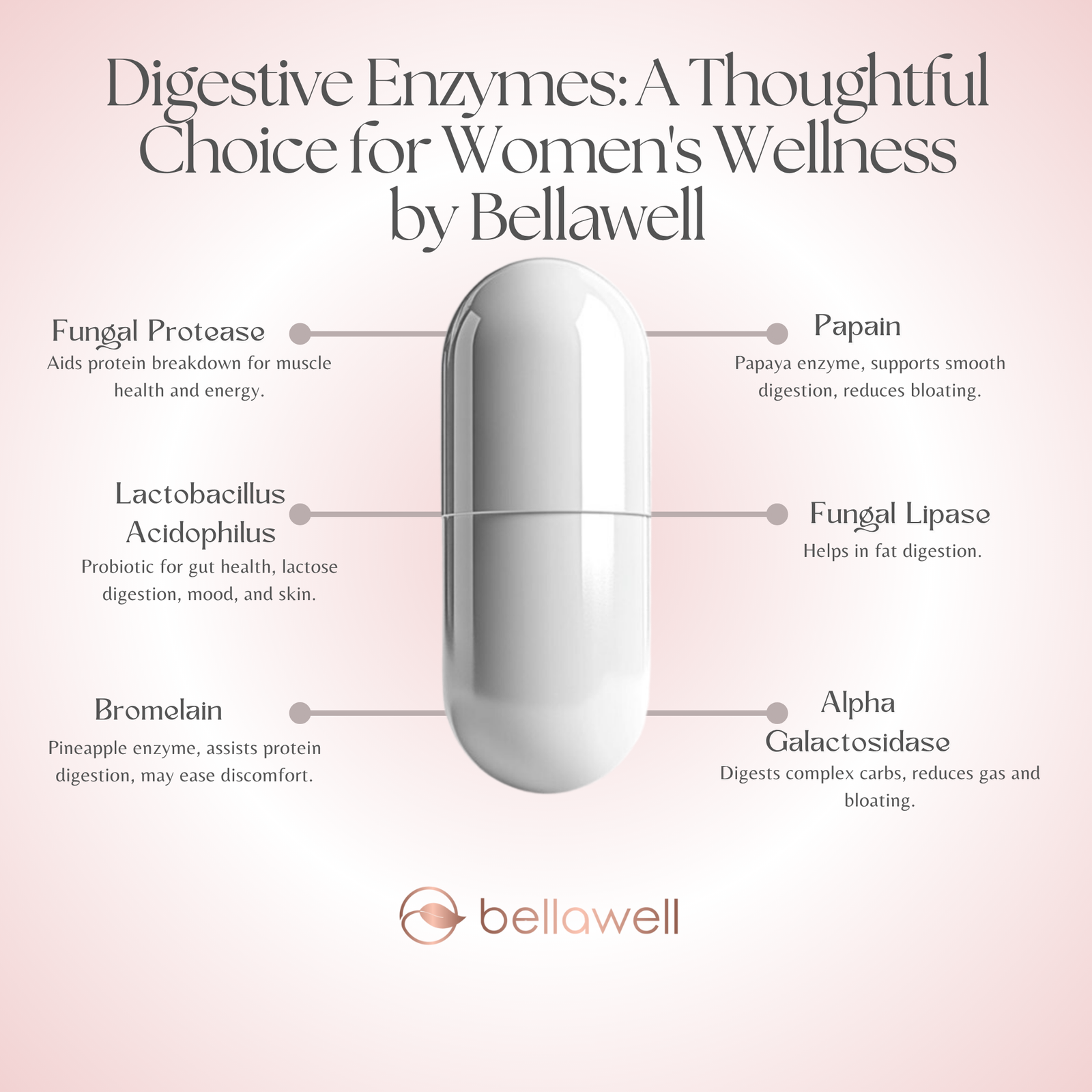 Discover the Power of Digestive Enzymes