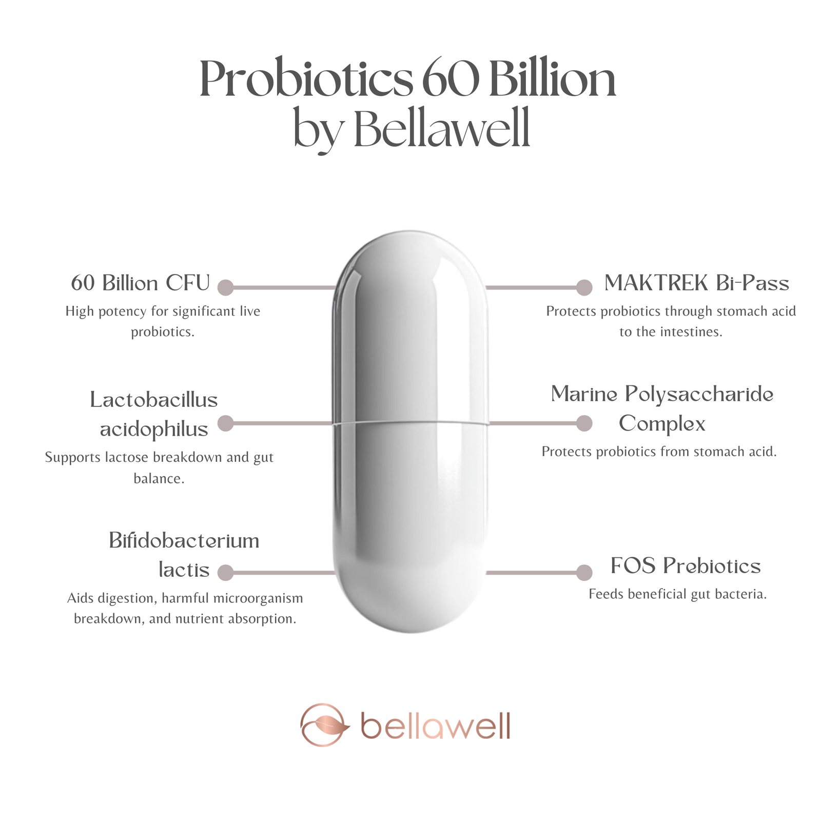Discover the Power of Probiotics 60 Billion