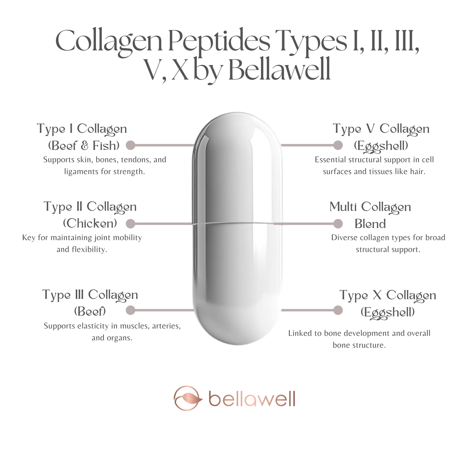 Discover the Power of Bellawell Collagen Peptides