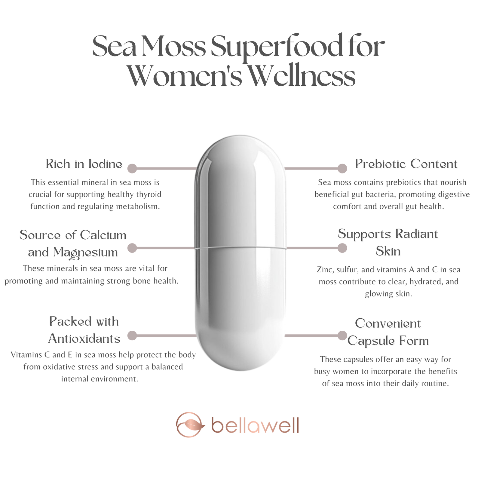 Discover the Power of Sea Moss Superfood