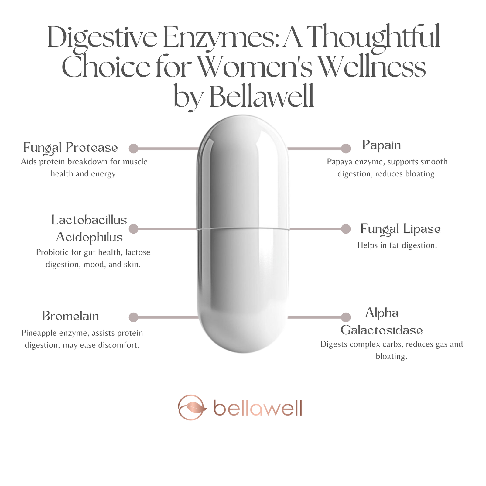 Discover the Power of Digestive Enzymes