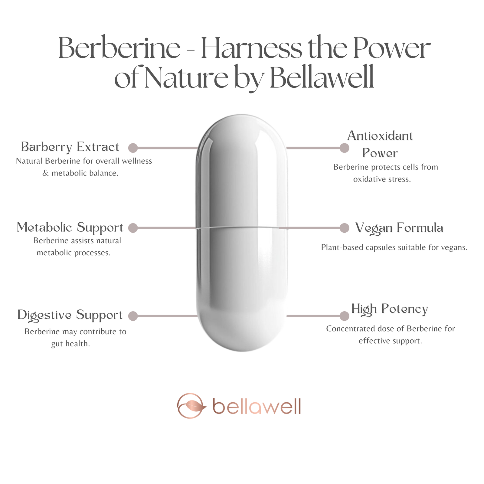 Discover the Power of Berberine
