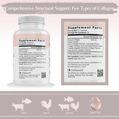 Collagen Peptides Types I, II, III, V, X by Bellawell - Bellawell Health